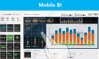 Microsoft_0203 Microsoft DW/BI : Mobile BI