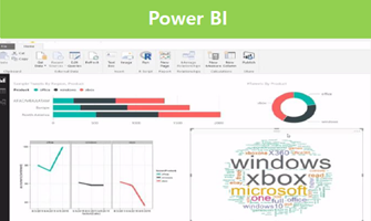 Microsoft_0204 Microsoft DW/BI : Power BI